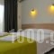 Erodios Studios_accommodation_in_Hotel_Aegean Islands_Thasos_Thasos Chora