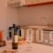 Victor Eleni Hotel_best deals_Hotel_Macedonia_Halkidiki_Haniotis - Chaniotis