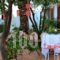 Vayazorba Studios_best deals_Hotel_Sporades Islands_Skiathos_Skiathoshora