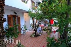 Vayazorba Studios in Skiathos Chora, Skiathos, Sporades Islands