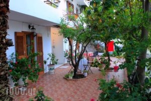Vayazorba Studios_accommodation_in_Hotel_Sporades Islands_Skiathos_Skiathoshora