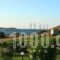 Achilli Apartments_best deals_Apartment_Sporades Islands_Skyros_Skyros Chora