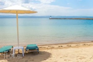 Palmariva Beach Bomo Club_holidays_in_Hotel_Central Greece_Evia_Eretria