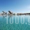 Iliada_best prices_in_Hotel_Cyclades Islands_Mykonos_Elia