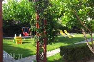Finikes Studios_best prices_in_Hotel_Central Greece_Evia_Orei