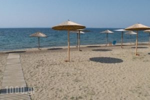 Mikiverna Houses & Apartments_holidays_in_Apartment_Macedonia_Halkidiki_Poligyros