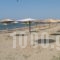 Mikiverna Houses & Apartments_best deals_Apartment_Macedonia_Halkidiki_Poligyros