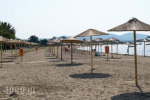 Mikiverna Houses & Apartments_travel_packages_in_Macedonia_Halkidiki_Poligyros