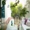 Stella Studios_accommodation_in_Hotel_Piraeus Islands - Trizonia_Poros_Poros Chora