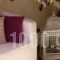 Stella Studios_best deals_Hotel_Piraeus Islands - Trizonia_Poros_Poros Chora