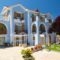 Nikos Studios and Apartments_best deals_Apartment_Ionian Islands_Kefalonia_Kefalonia'st Areas