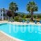 Nikos Studios and Apartments_travel_packages_in_Ionian Islands_Kefalonia_Kefalonia'st Areas