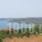 Aristomenis Studios_lowest prices_in_Hotel_Ionian Islands_Kefalonia_Kefalonia'st Areas