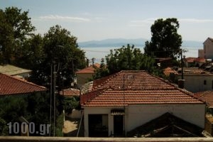 Hotel Alexandros_best deals_Hotel_Thessaly_Magnesia_Afissos