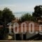 Hotel Alexandros_best deals_Hotel_Thessaly_Magnesia_Afissos