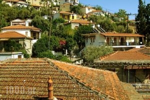 Hotel Alexandros_best prices_in_Hotel_Thessaly_Magnesia_Afissos