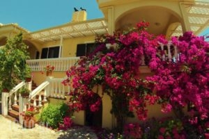 Appartamenti Angelika_accommodation_in_Hotel_Epirus_Thesprotia_Perdika