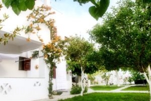 Thalassia Studios_best deals_Hotel_Sporades Islands_Skyros_Kalamitsa