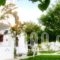 Thalassia Studios_best deals_Hotel_Sporades Islands_Skyros_Kalamitsa