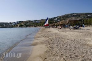 Camping Koula_travel_packages_in_Cyclades Islands_Paros_Paros Chora