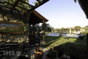 Ta Petrina_best deals_Hotel_Macedonia_Halkidiki_Chalkidiki Area