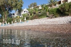 Grekis Beach Hotel and Apartments in Athens, Attica, Central Greece