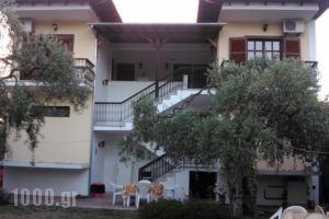 Villa Thomi_accommodation_in_Villa_Aegean Islands_Thasos_Thasos Chora
