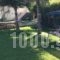 Villa Joannas_best deals_Villa_Ionian Islands_Lefkada_Vasiliki