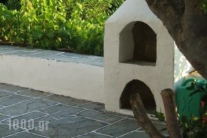 Villa Apollonia_best prices_in_Villa_Cyclades Islands_Sifnos_Apollonia