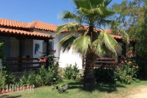 Malama Rooms_accommodation_in_Room_Macedonia_Halkidiki_Toroni