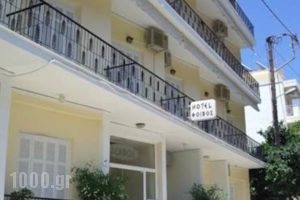 Foivos_best deals_Hotel_Central Greece_Evia_Edipsos