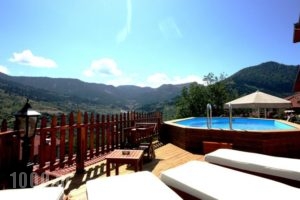 Archontiko Metsovou Luxury Boutique Hotel_accommodation_in_Hotel_Epirus_Ioannina_Metsovo