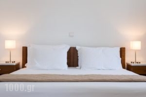 Janos Studios and Apartments_best deals_Apartment_Cyclades Islands_Paros_Piso Livadi