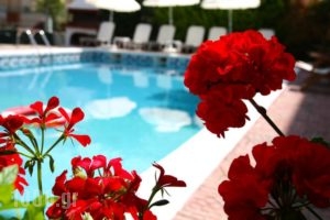 Olympus Hotel Villa Drosos_travel_packages_in_Macedonia_Pieria_Litochoro