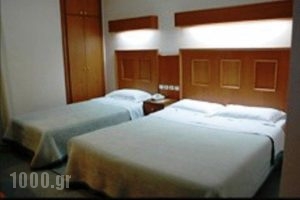 Katerina Hotel_holidays_in_Hotel_Macedonia_Kozani_Kozani City