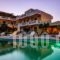 Blue Horizon Studios_accommodation_in_Hotel_Sporades Islands_Skiathos_Skiathoshora