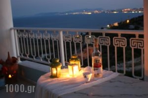 Stargazer Villa_lowest prices_in_Villa_Piraeus Islands - Trizonia_Aigina_Marathonas