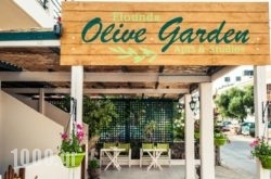 Elounda Olive Garden Apts & Studios in Aghios Nikolaos, Lasithi, Crete