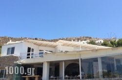 Sailinn Mykonos in Naousa, Paros, Cyclades Islands