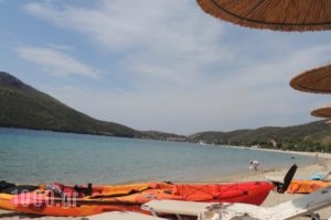 Studios Costa_lowest prices_in_Hotel_Macedonia_Halkidiki_Sykia