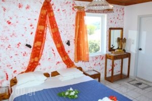 Homer'S Studio_best deals_Hotel_Ionian Islands_Lefkada_Lefkada's t Areas