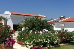 Ktima Amitsa Studios & Apartments_travel_packages_in_Macedonia_Halkidiki_Toroni