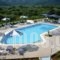 Dimitris Hotel_holidays_in_Hotel_Aegean Islands_Thasos_Thasos Chora