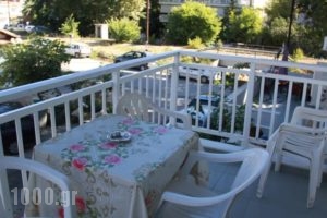 Galanis Studios and Apartments_best deals_Apartment_Thessaly_Larisa_Ambelakia