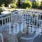 Galanis Studios and Apartments_best deals_Apartment_Thessaly_Larisa_Ambelakia