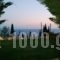 Erofili Villas_travel_packages_in_Ionian Islands_Kefalonia_Vlachata