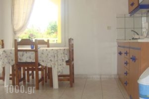 Aegean Apartments_best prices_in_Apartment_Thessaly_Larisa_Ambelakia