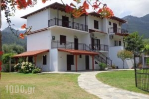 Pension Yanna_accommodation_in_Hotel_Aegean Islands_Thasos_Thasos Chora