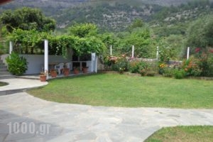 Pension Yanna_holidays_in_Hotel_Aegean Islands_Thasos_Thasos Chora