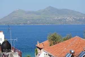 Hotel Kalypso_travel_packages_in_Central Greece_Evia_Edipsos